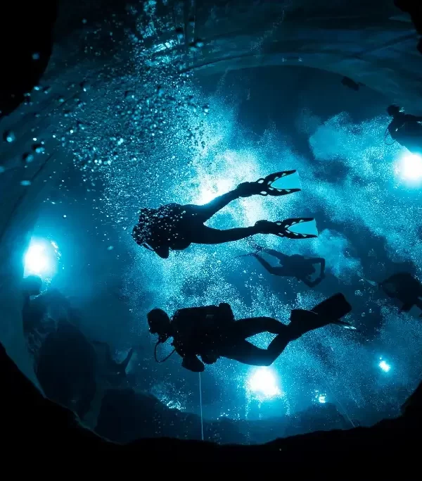 39f48e4de8746d579752421fb636023b6a44e536