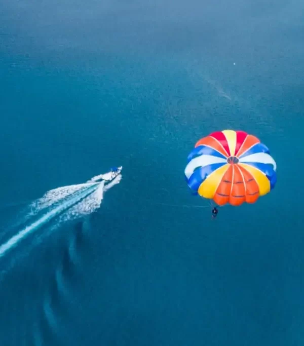 94195cfc6e365e05f254e6881e31c244e16b59dd